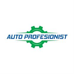 Auto Profesionist SRL, Satu Mare program de funcționare