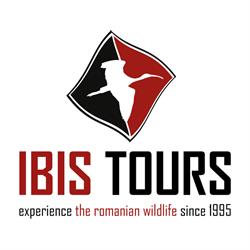 Ibis Tours, Tulcea program de funcționare
