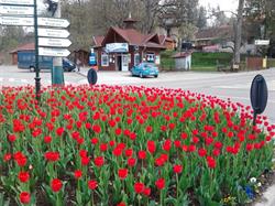 Salt Lake Travel, Sovata program de funcționare