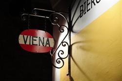 Viena, Cluj-Napoca program de funcționare