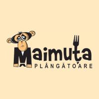 Maimuta Plangatoare, Cluj-Napoca program de funcționare