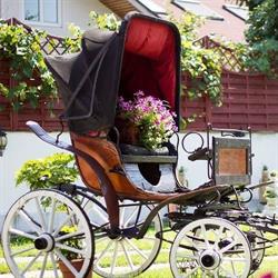 roma antica, Hărman program de funcționare