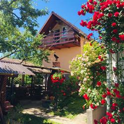 Casa Schuller, Topliţa program de funcționare