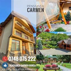 Carmen, Băile Borşa program de funcționare