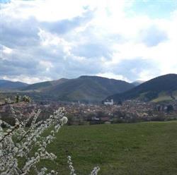 Phoenix, Răşinari program de funcționare