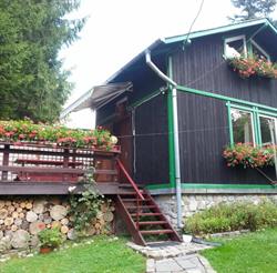 CASA RICIU, Buşteni program de funcționare