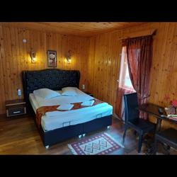 La Cristina, Sinaia program de funcționare