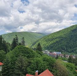 T.v. Condor, Sinaia program de funcționare