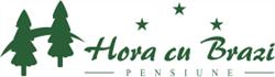 Pensiunea Hora Cu Brazi, Zărneşti program de funcționare