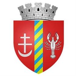 Primăria Dorohoi, program de funcționare