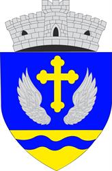 Primaria Ghiroda, program de funcționare