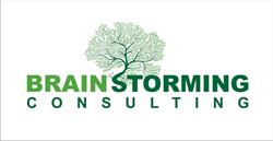 Brainstorming Consulting SRL în Bucureşti, Sectorul 4 - program de funcționare