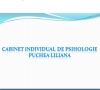 Cabinet Individual de Psihologie Puchea Liliana, Bucureşti program de funcționare