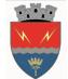 Primaria Orasului Turceni, program de funcționare