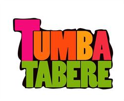 TUMBA Srl, Vulcan program de funcționare