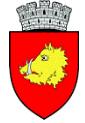Primăria Roman, program de funcționare
