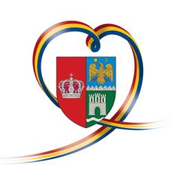 Consiliul Judetean Brasov, program de funcționare