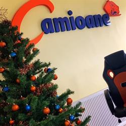 SC Camioane SRL, Sântion program de funcționare
