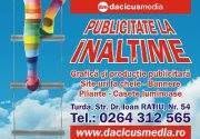 Dacicus Media, Turda program de funcționare