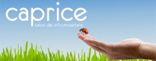 Caprice Beaute SRL în Oradea, Cartier Europa, Langa Universitate - program de funcționare