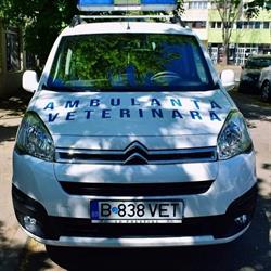 Crystal Vet - Urgente Veterinare Non Stop în Bucureşti, Sector 2 - program de funcționare