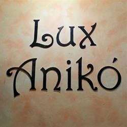 Blanaria Lux Aniko, Braşov program de funcționare