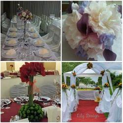 Lily Design, Câmpulung program de funcționare