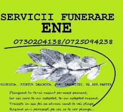 I.i. Ene Madalina Georgiana, Slobozia program de funcționare