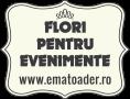 Ema | Flori Pentru Evenimente în Focşani, Vrancea - program de funcționare