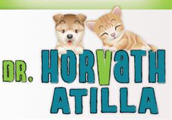 Dr. Horvath S.r.l, Timişoara program de funcționare