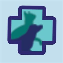 Promedivet, Sovata program de funcționare