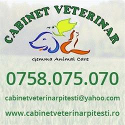 GemmaVet - Cabinet Veterinar Pitesti, program de funcționare