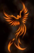 Crematoriul Uman Oradea - Phoenix Cremation Services, program de funcționare
