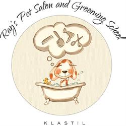 Klastil SRL, Cluj-Napoca program de funcționare