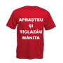 Alotti Business SRL, Baia Mare program de funcționare