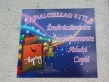 Hajnalcsillag Style SRL, Satu Mare program de funcționare