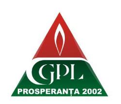 Pro Speranta 2002 S.r.l. - Service Montaj, Piteşti program de funcționare
