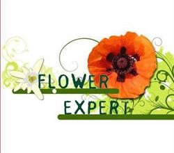 S.C. Flower Expert S.R.L. în Bucureşti, Sector 3 - program de funcționare
