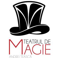 Teatrul de Magie Andrei Teasca, Bucureşti program de funcționare
