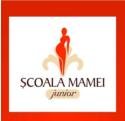 Asociatia Scoala mamei Junior, Timişoara program de funcționare