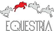 Clubul de Echitatie EQUESTRIA, Tâncăbeşti program de funcționare
