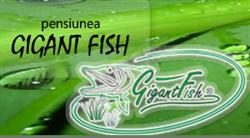 Pensiunea Gigant Fish, Mila 23 program de funcționare