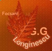 Grupul Scolar "G.G. Longinescu", Focşani program de funcționare