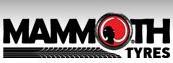 Mammoth Tyres SRL, Târgu Mureş program de funcționare