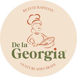 Salon Georgia, Aiud program de funcționare