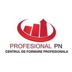 S.C. Profesional PN S.R.L, Sibiu program de funcționare