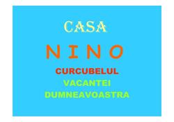 Casa Nino, Costineşti program de funcționare