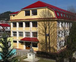 Colegiul National Avram Iancu, Câmpeni program de funcționare