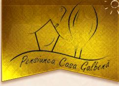 Casa Galbena, Arbore program de funcționare