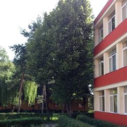 Colegiul de Stiinte Grigore Antipa Brasov, program de funcționare